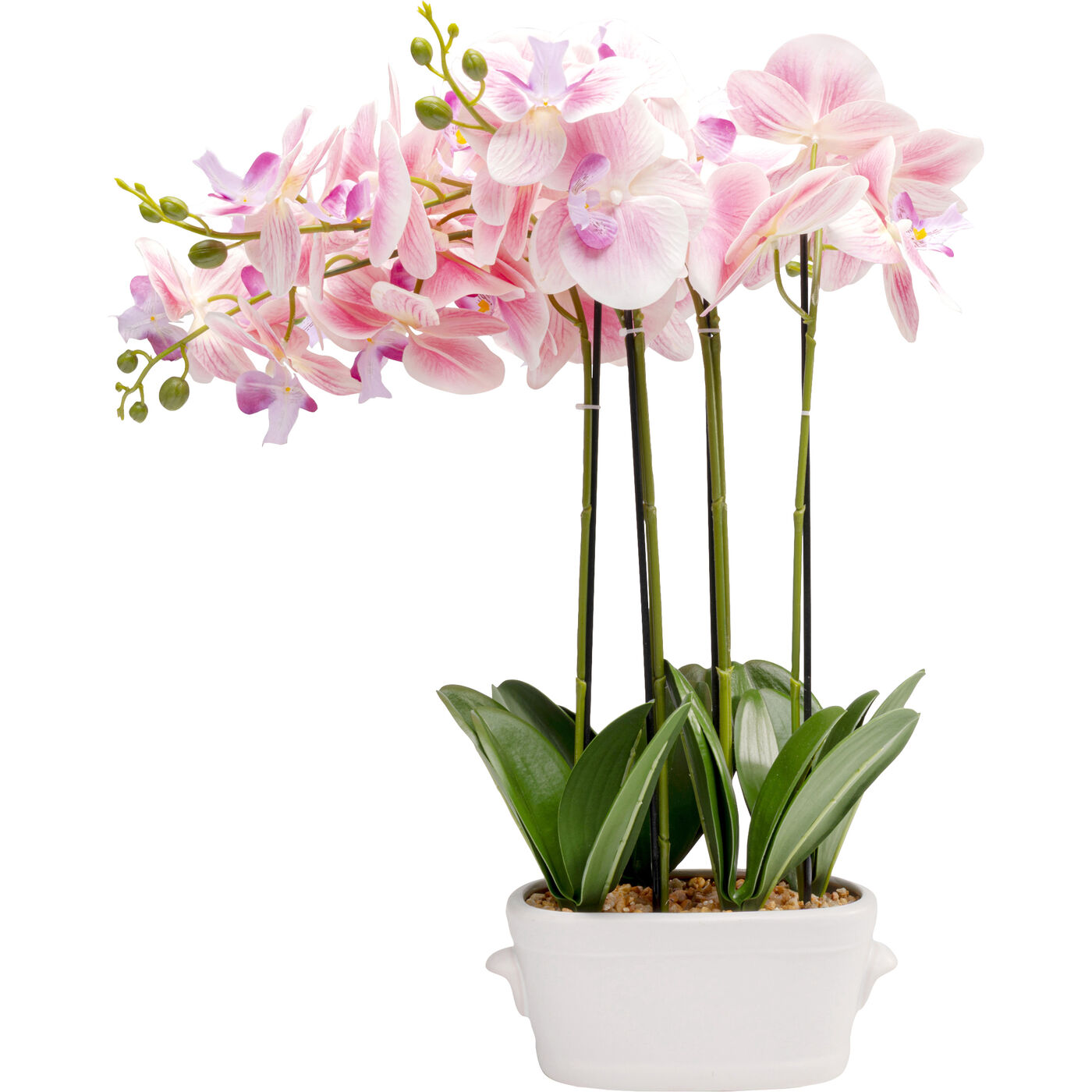 Растение декоративное Orchid Pod 55cm