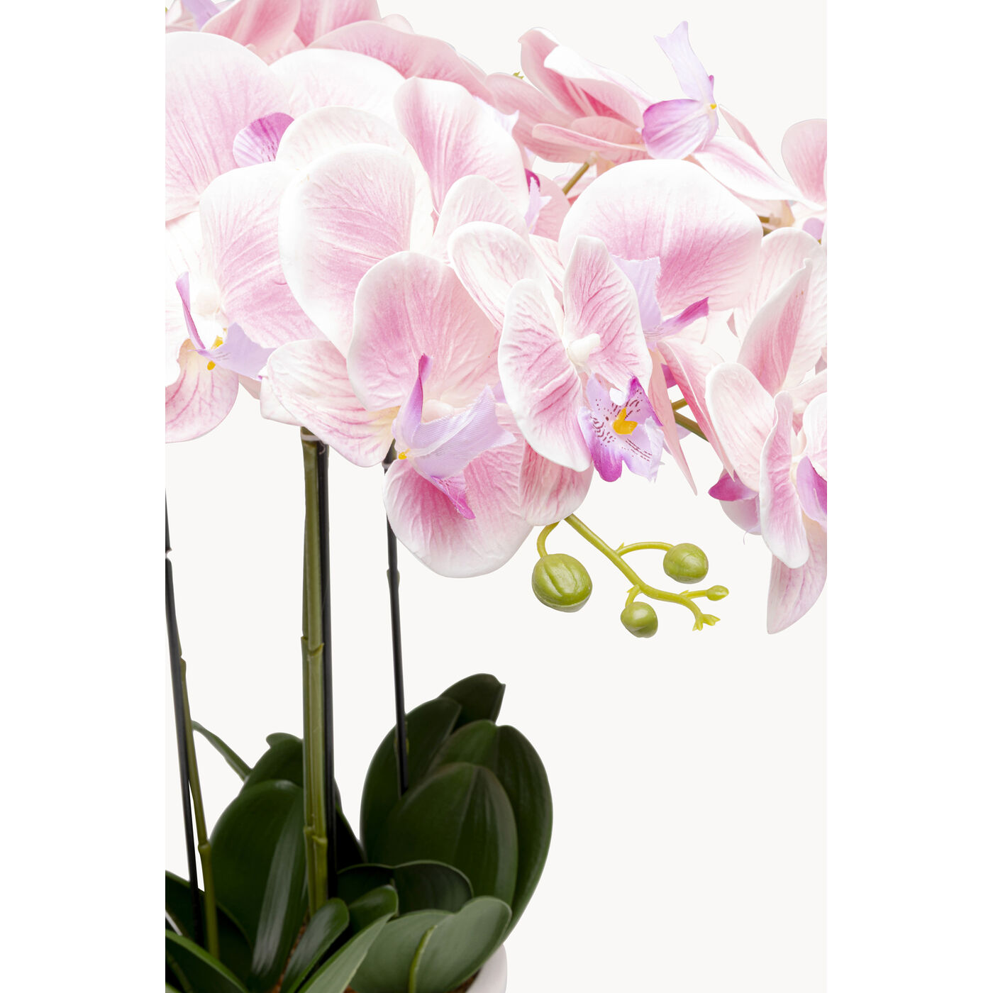 Растение декоративное Orchid Pod 55cm