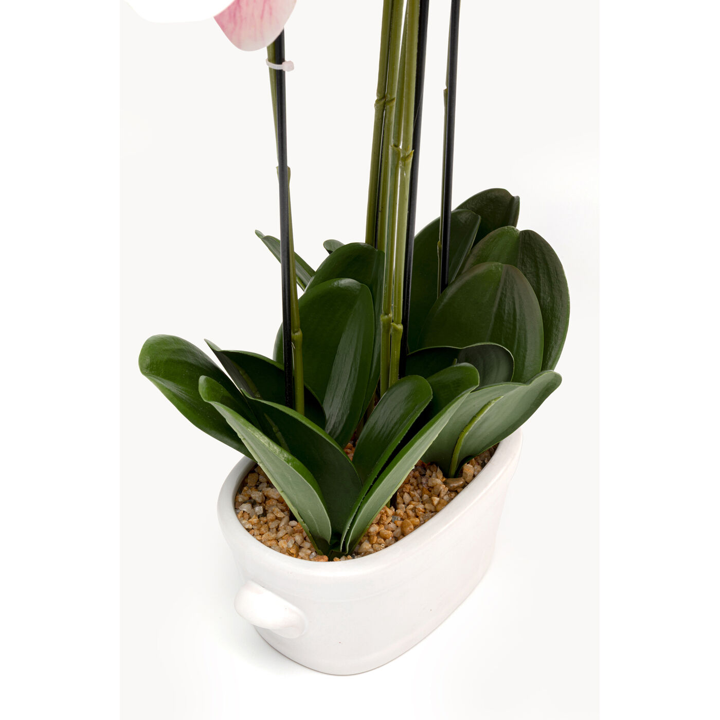 Растение декоративное Orchid Pod 55cm
