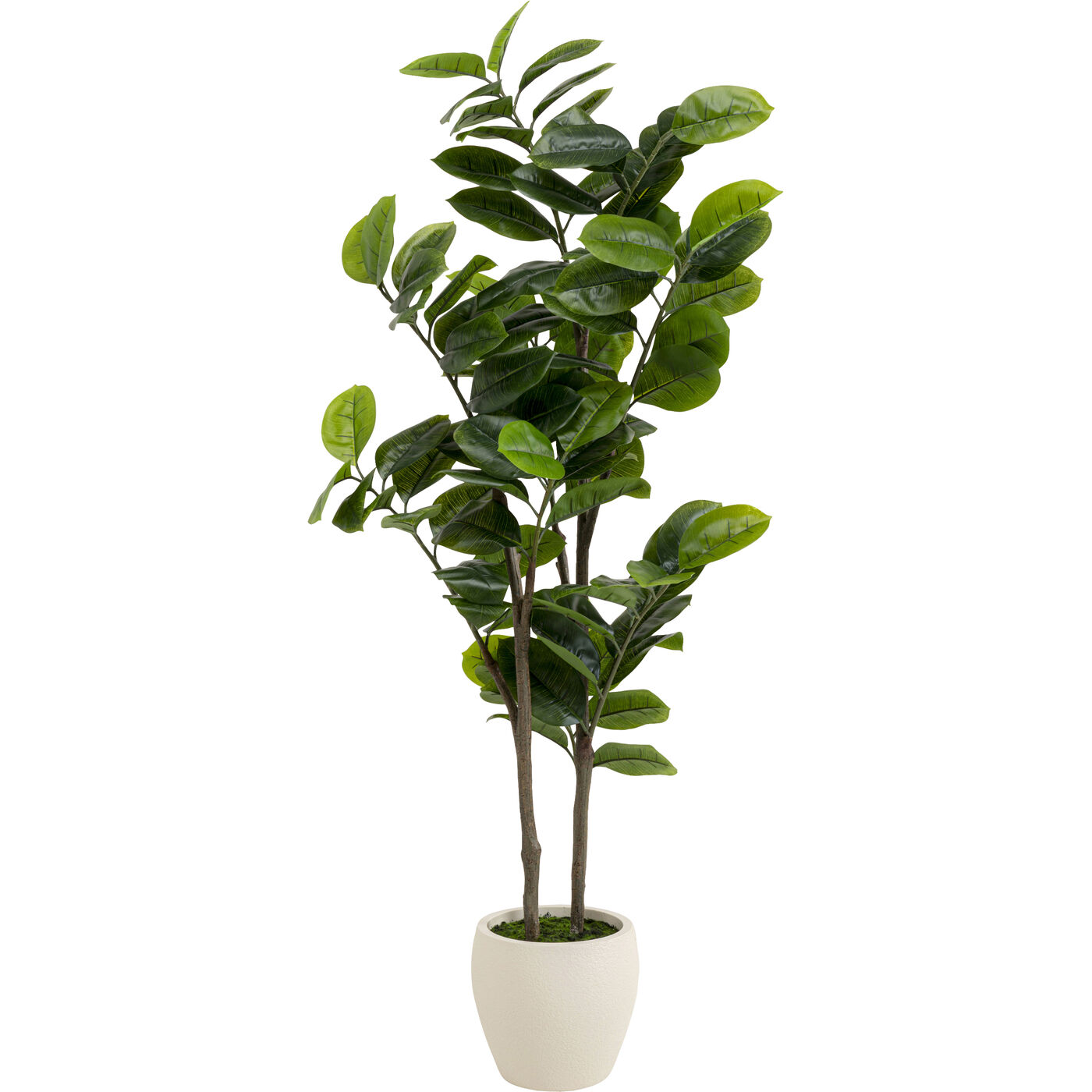 Растение декоративное Balata Tree 162cm