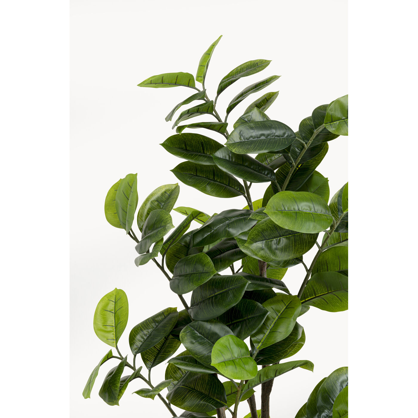 Растение декоративное Balata Tree 162cm