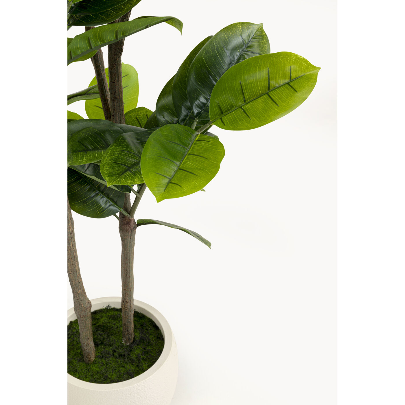 Растение декоративное Balata Tree 162cm