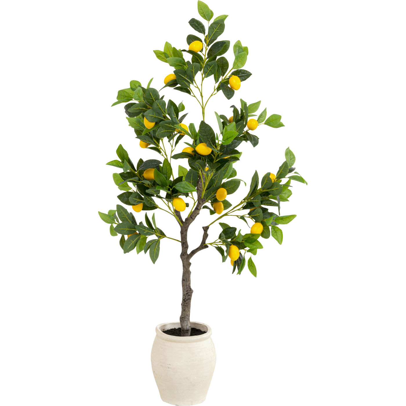 Растение декоративное Lemon Tree 120cm