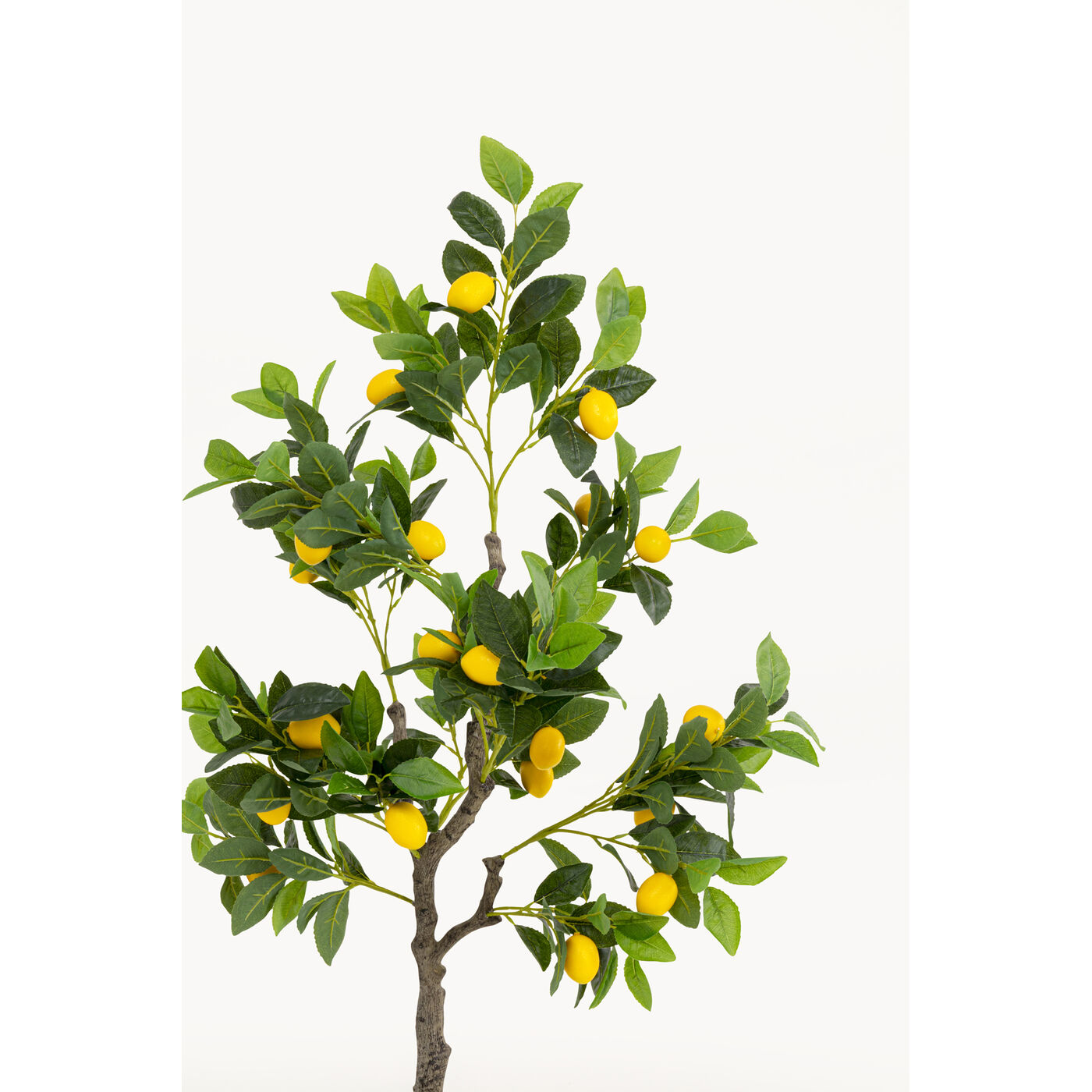 Растение декоративное Lemon Tree 120cm