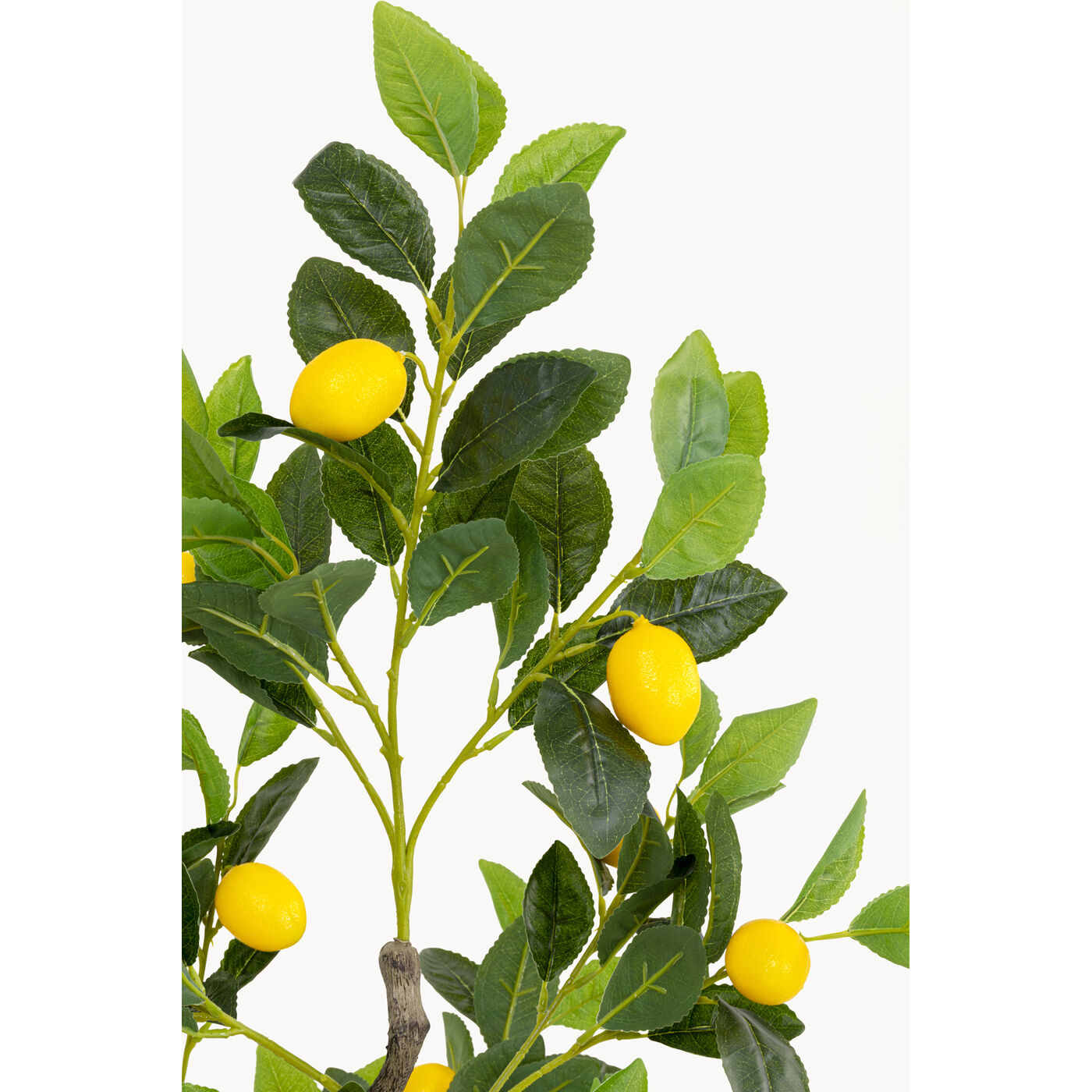 Растение декоративное Lemon Tree 120cm