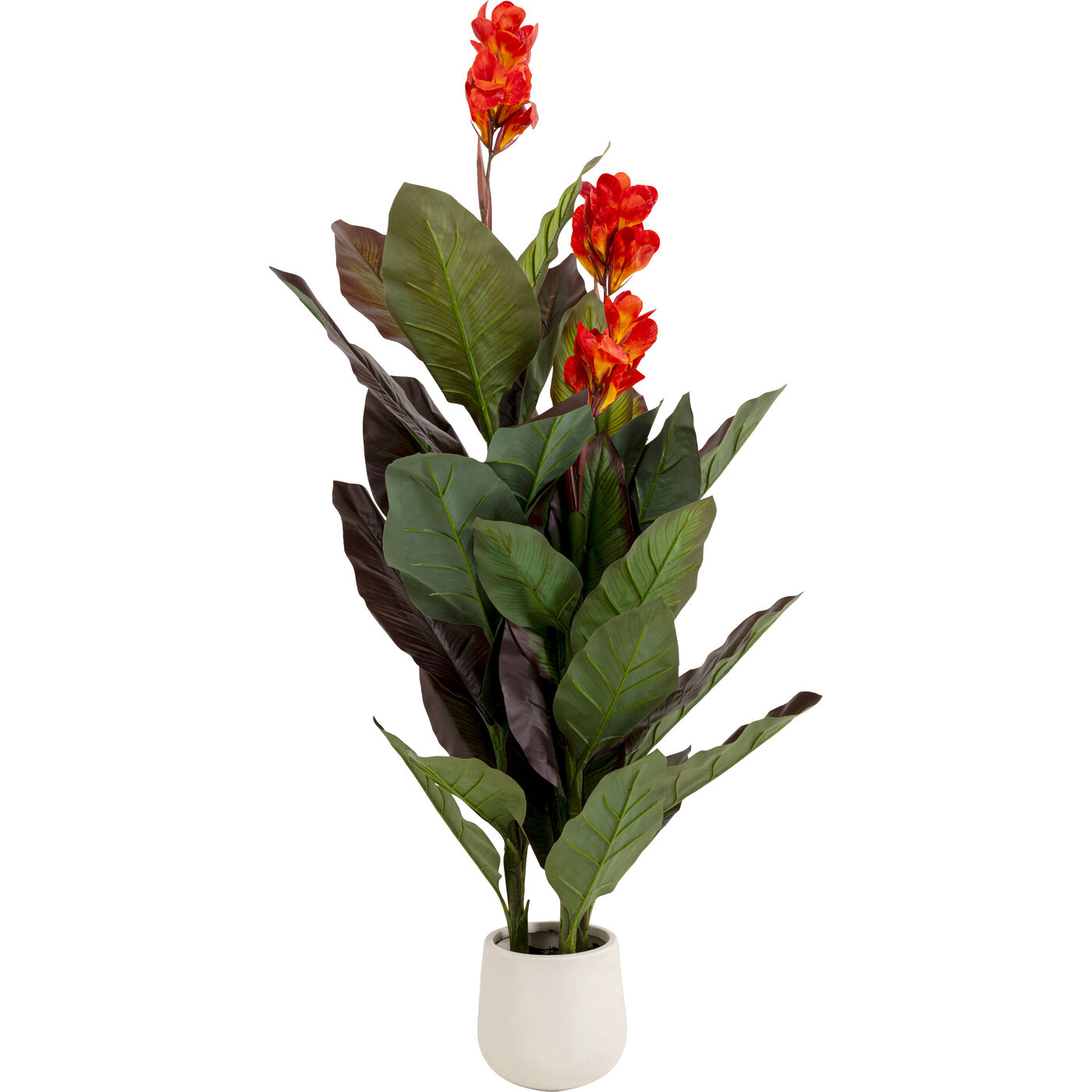 Растение декоративное Canna Lily 165cm