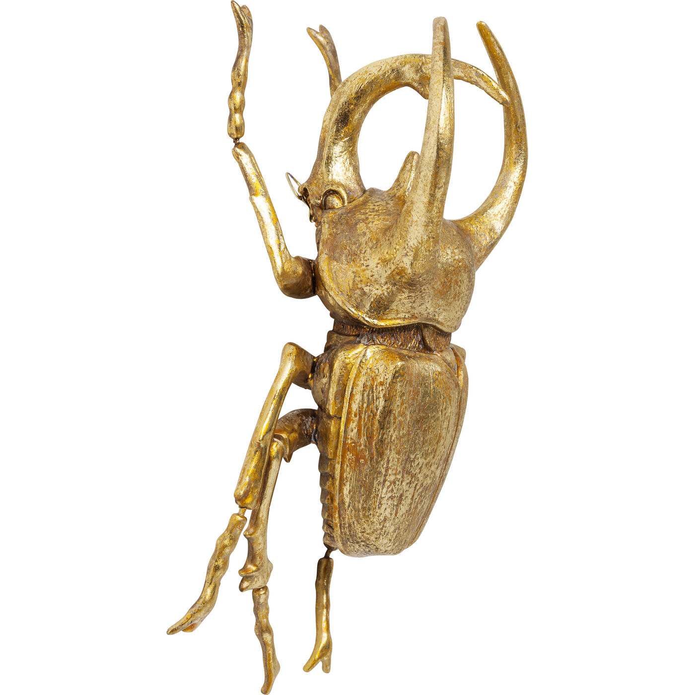 Украшение настенное Atlas Beetle Gold