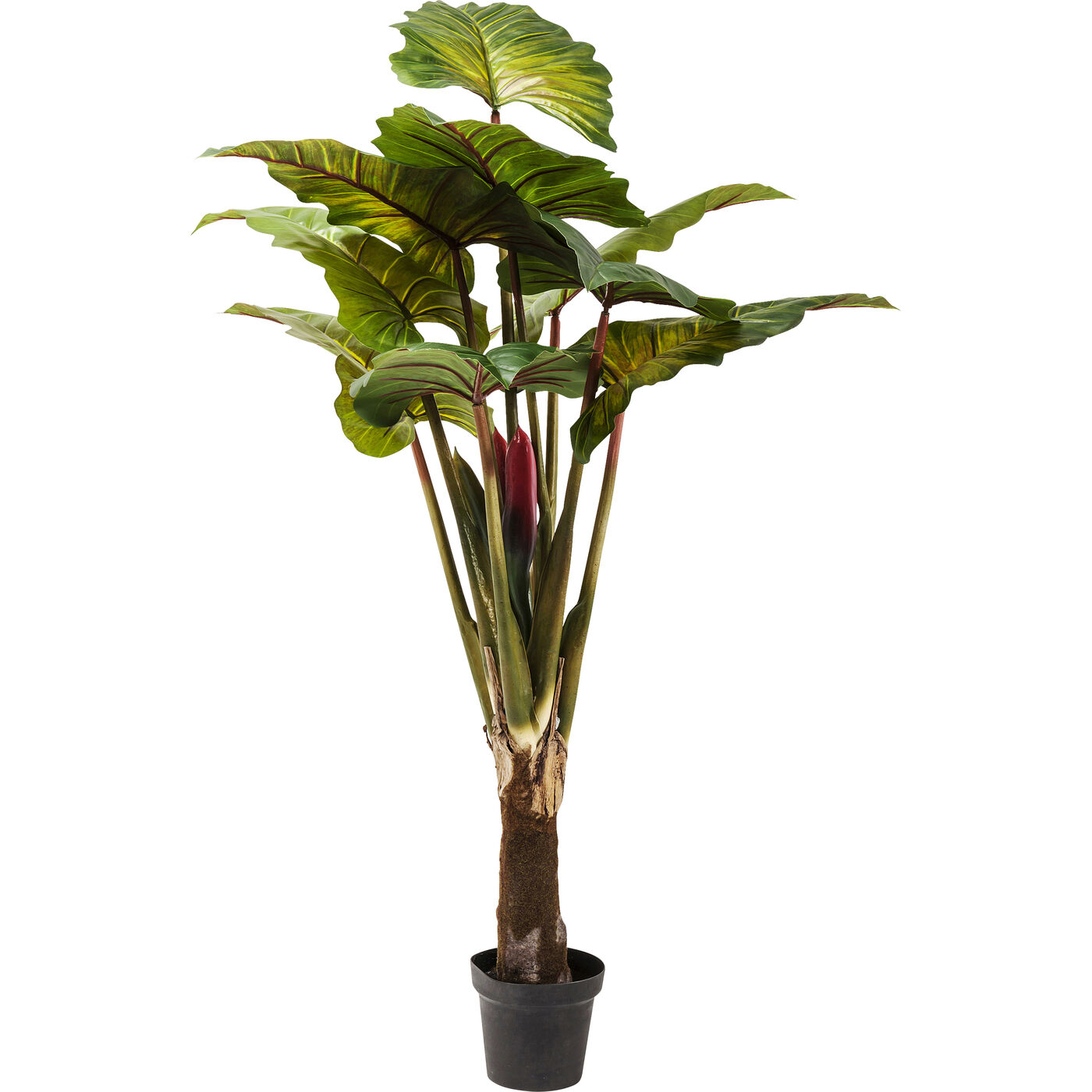 Растение декоративное Rainforest Green 160 см