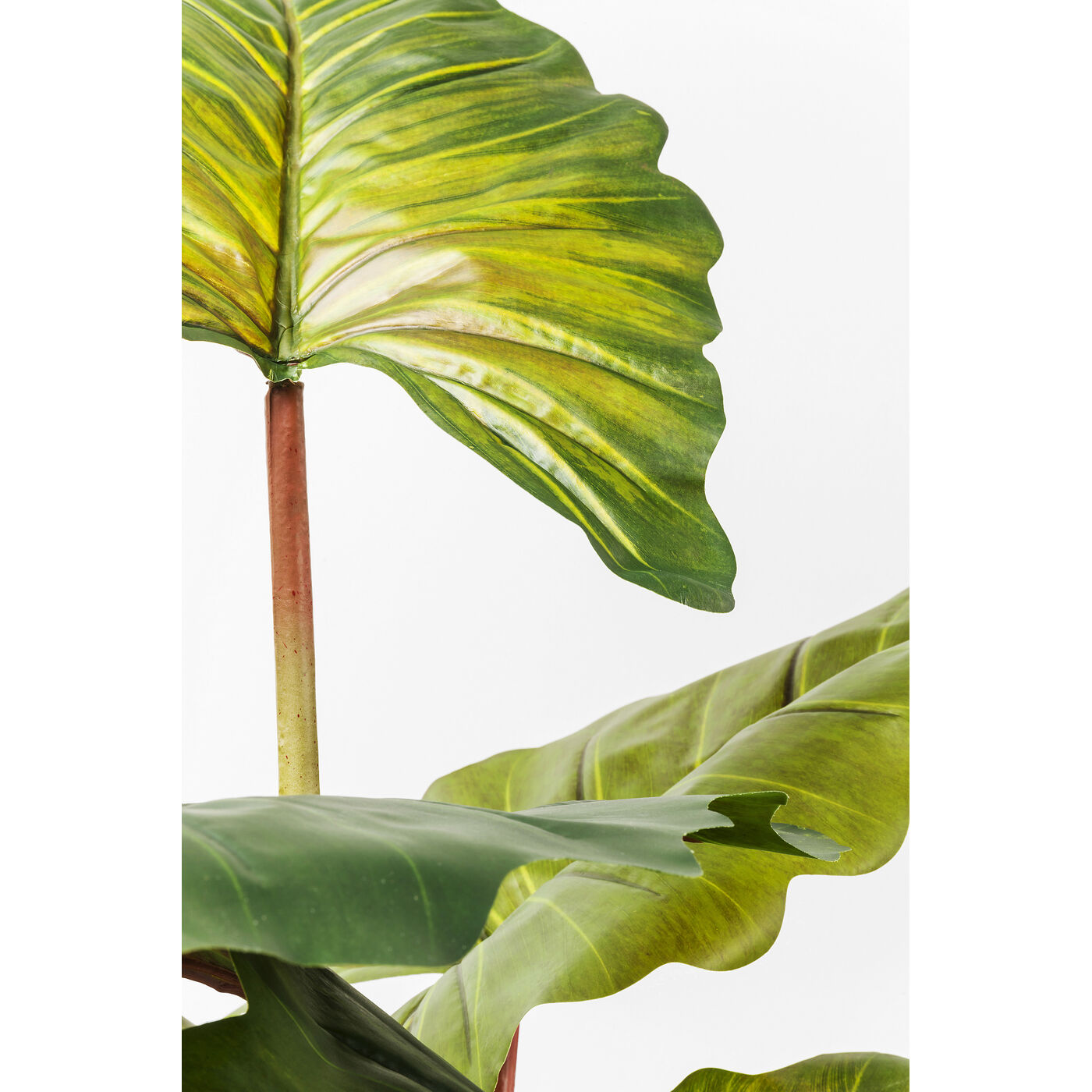 Растение декоративное Rainforest Green 160 см