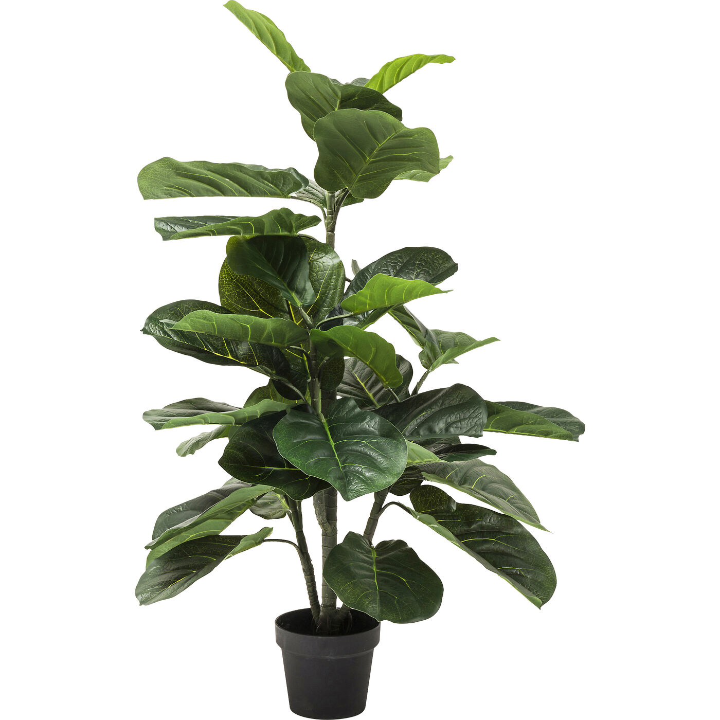 Растение декоративное Fiddle Leaf 120 см