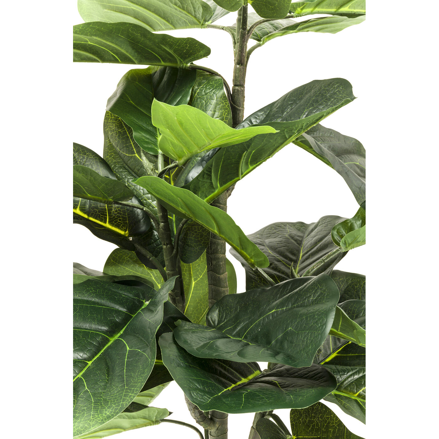 Растение декоративное Fiddle Leaf 120 см
