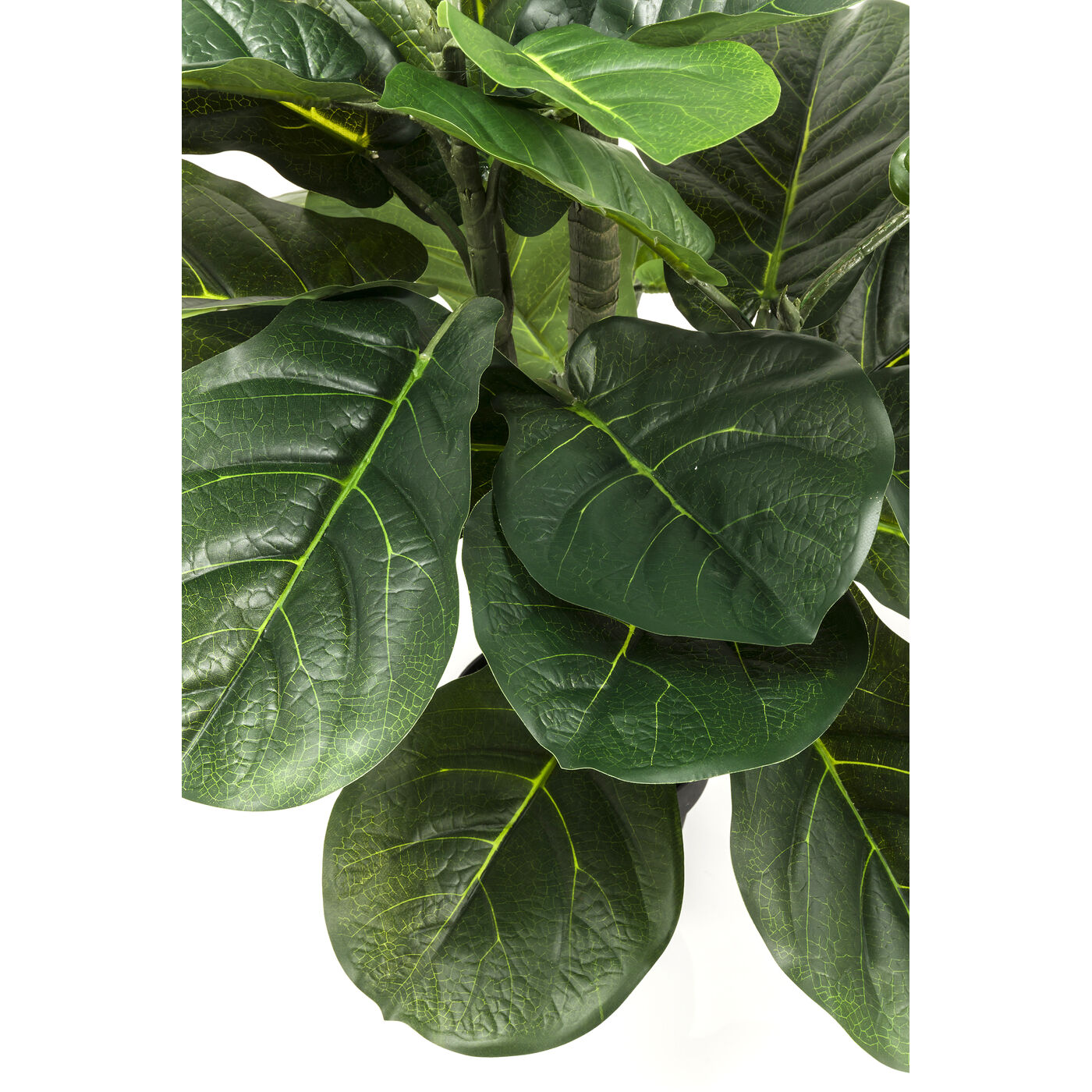 Растение декоративное Fiddle Leaf 120 см