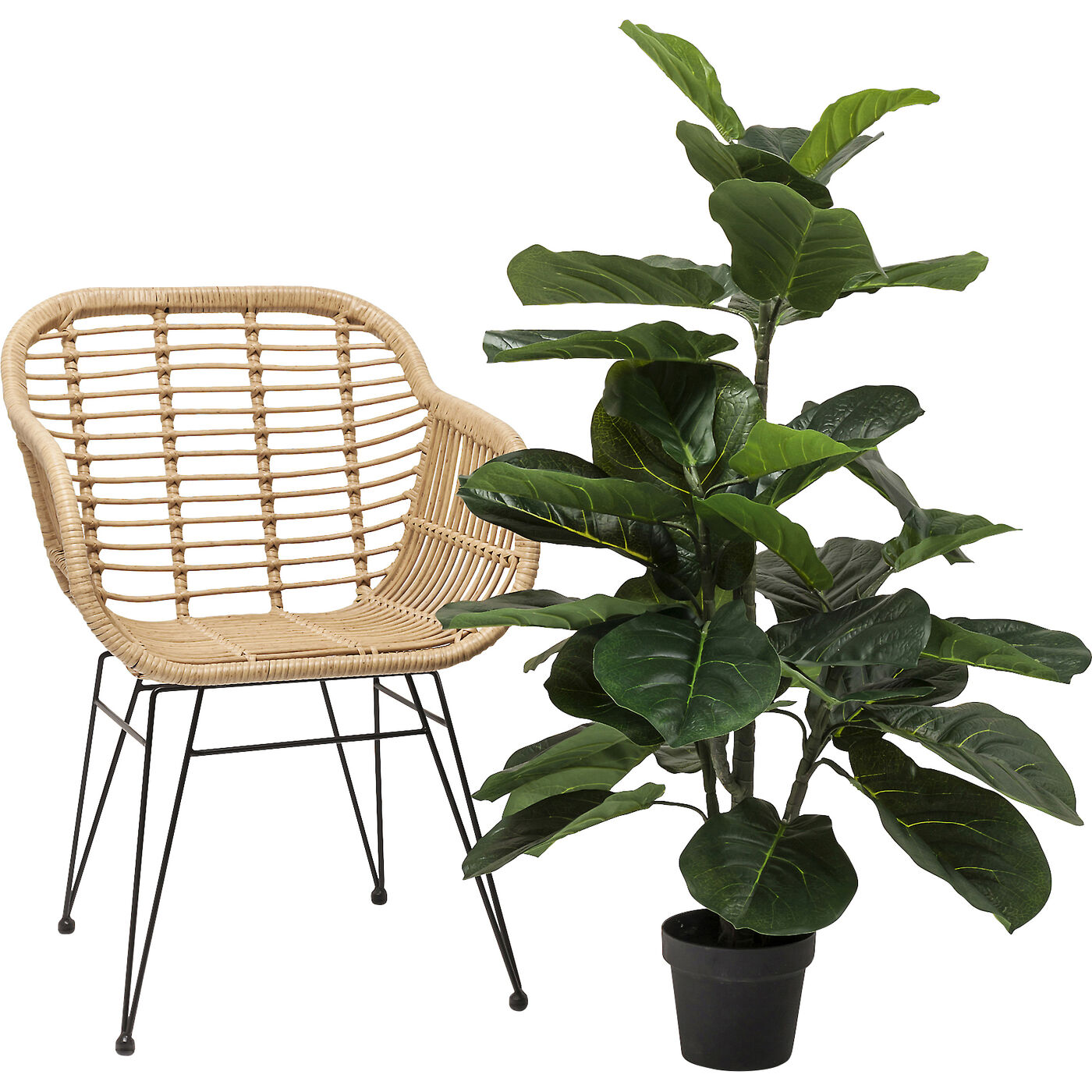 Растение декоративное Fiddle Leaf 120 см