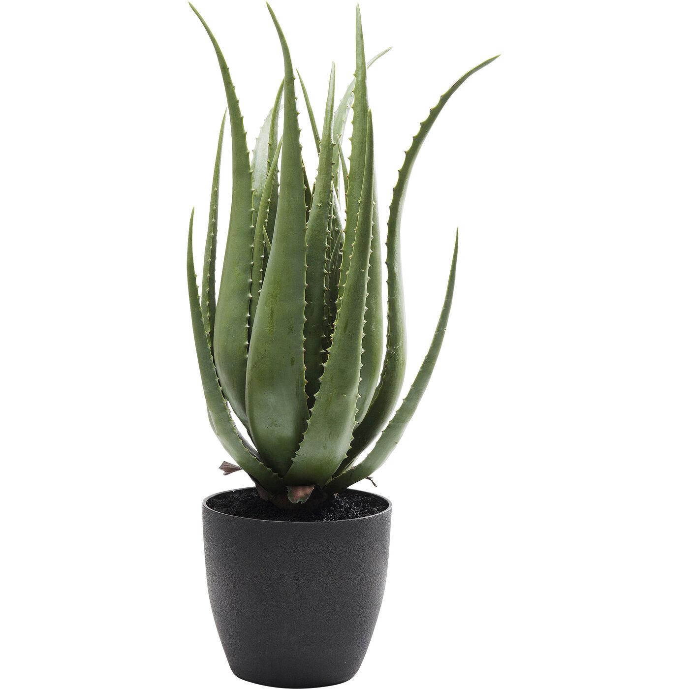 Растение декоративное Aloe 69 см