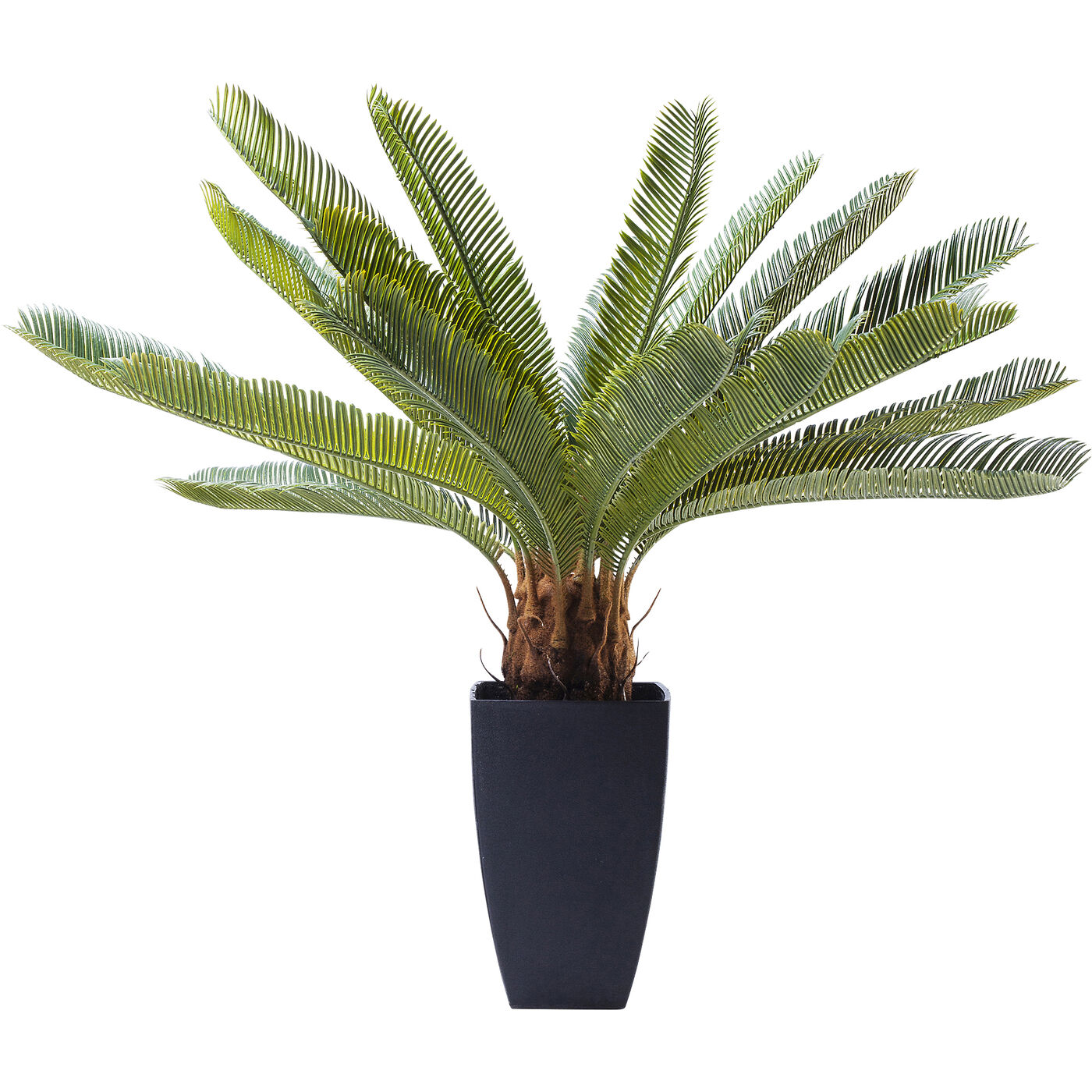 Растение декоративное Cycas Tree 78 см