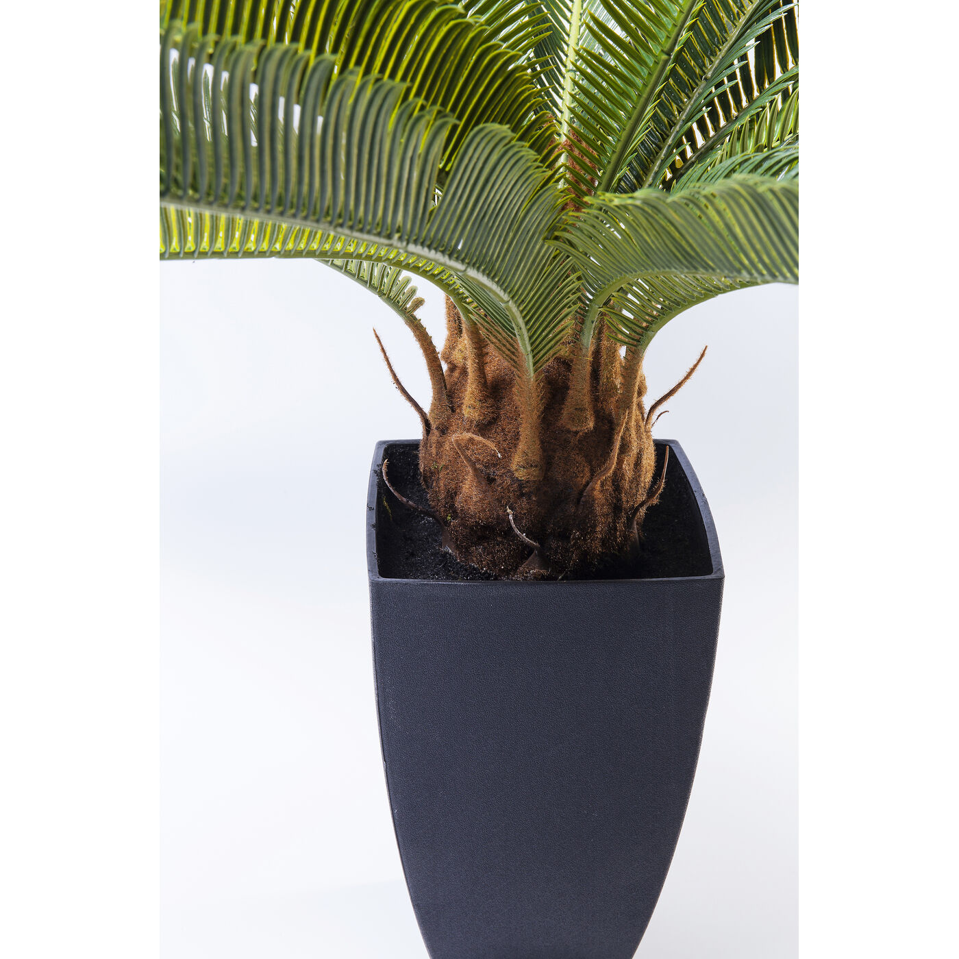 Растение декоративное Cycas Tree 78 см