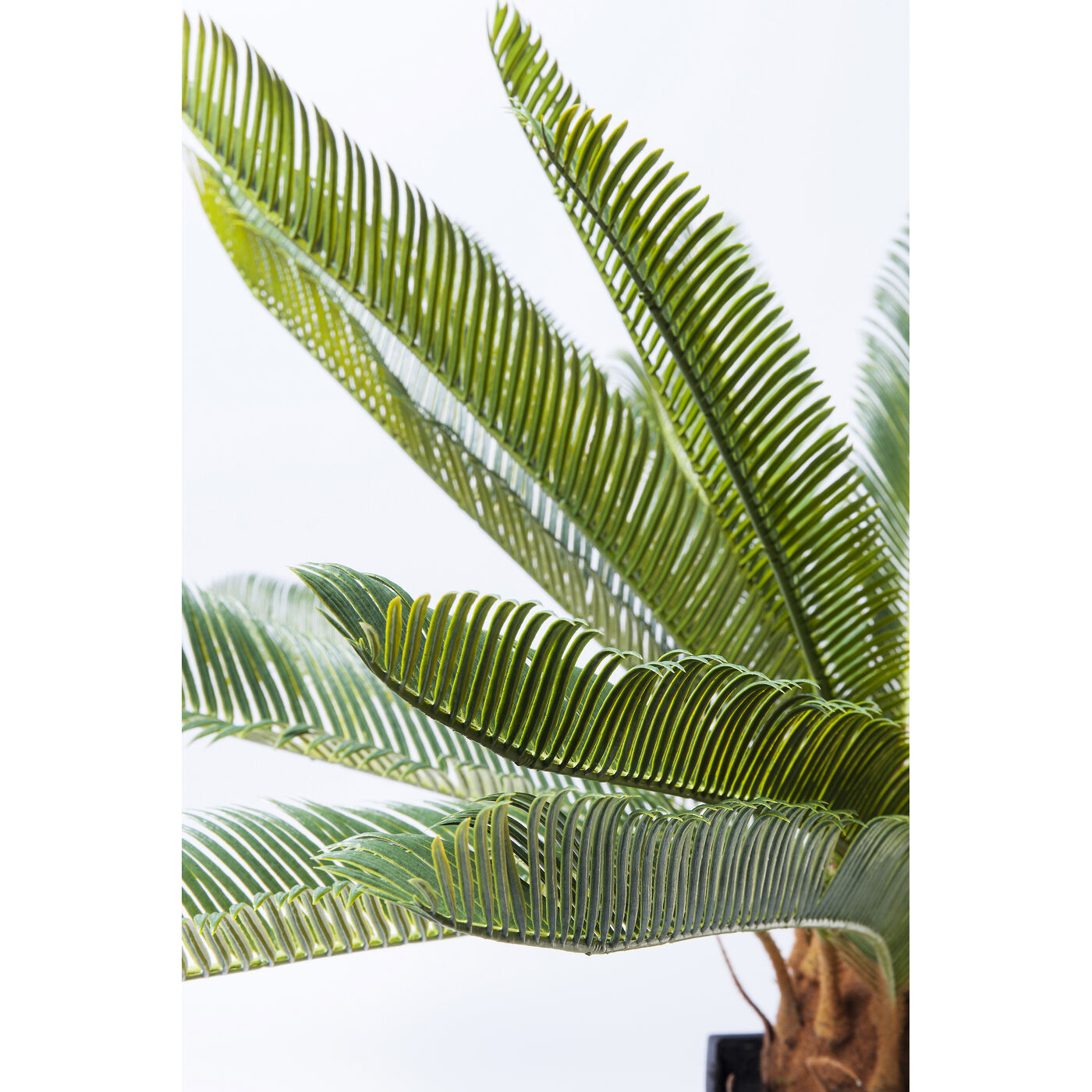 Растение декоративное Cycas Tree 78 см