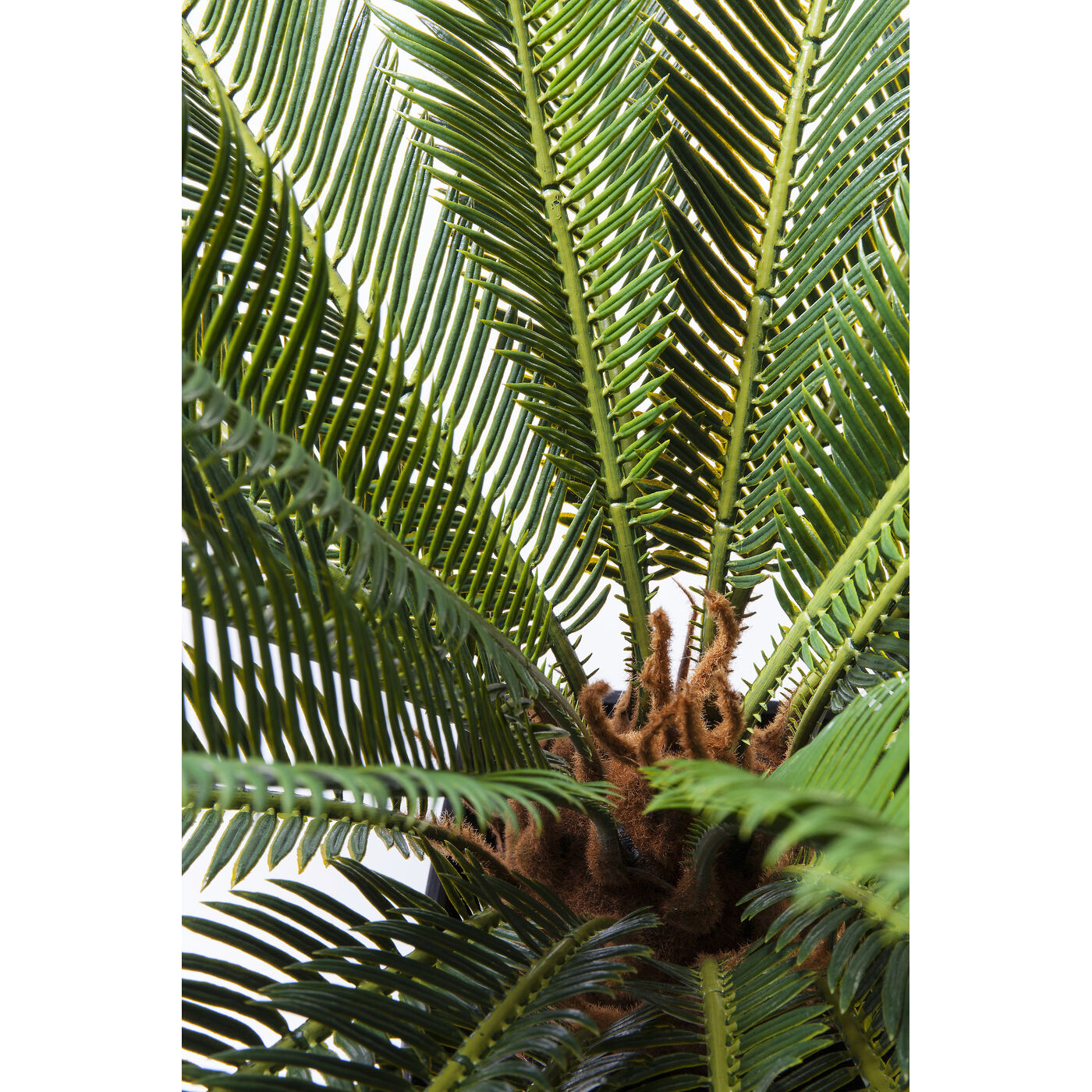 Растение декоративное Cycas Tree 78 см