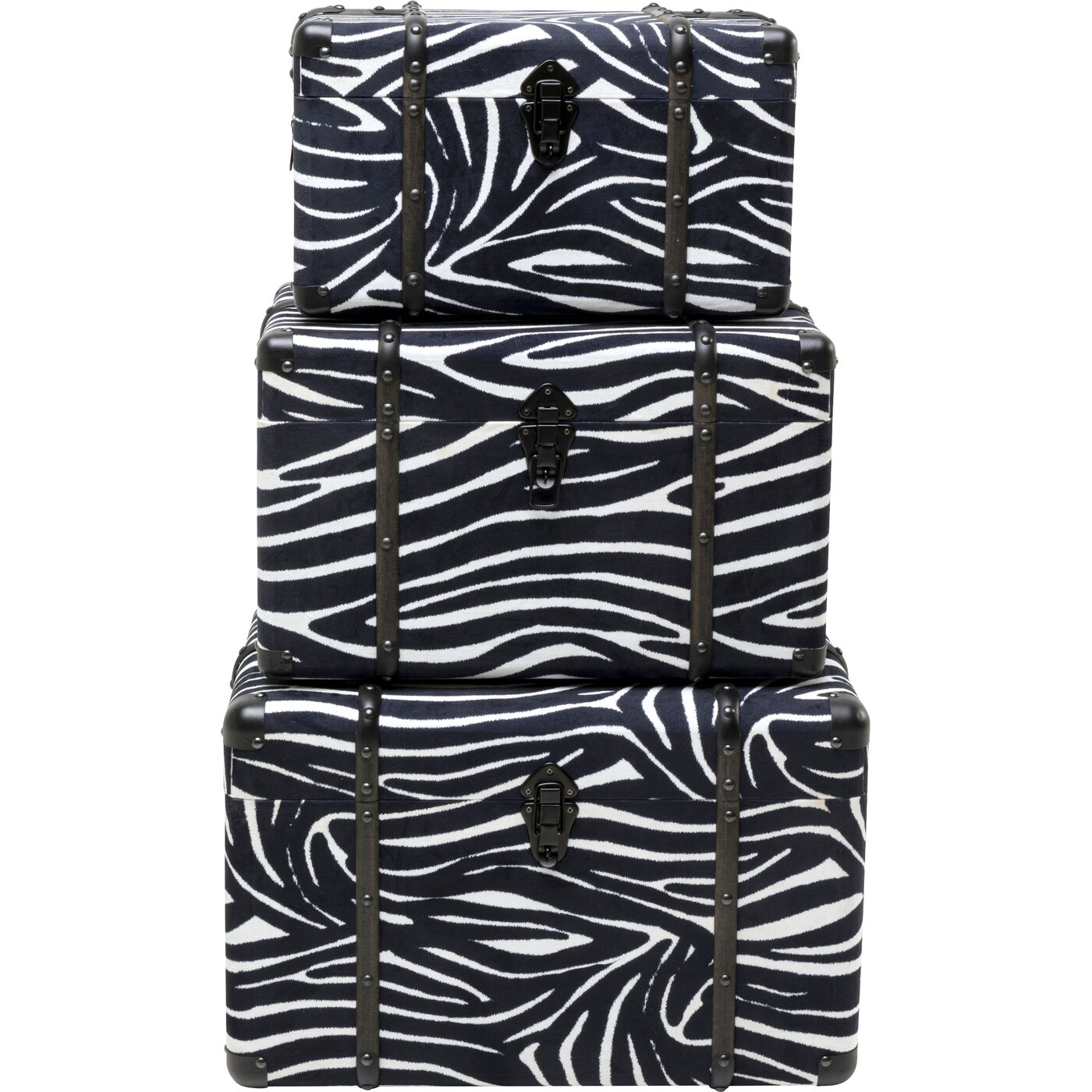 Шкатулка Wild Animal Zebra (3/Set)
