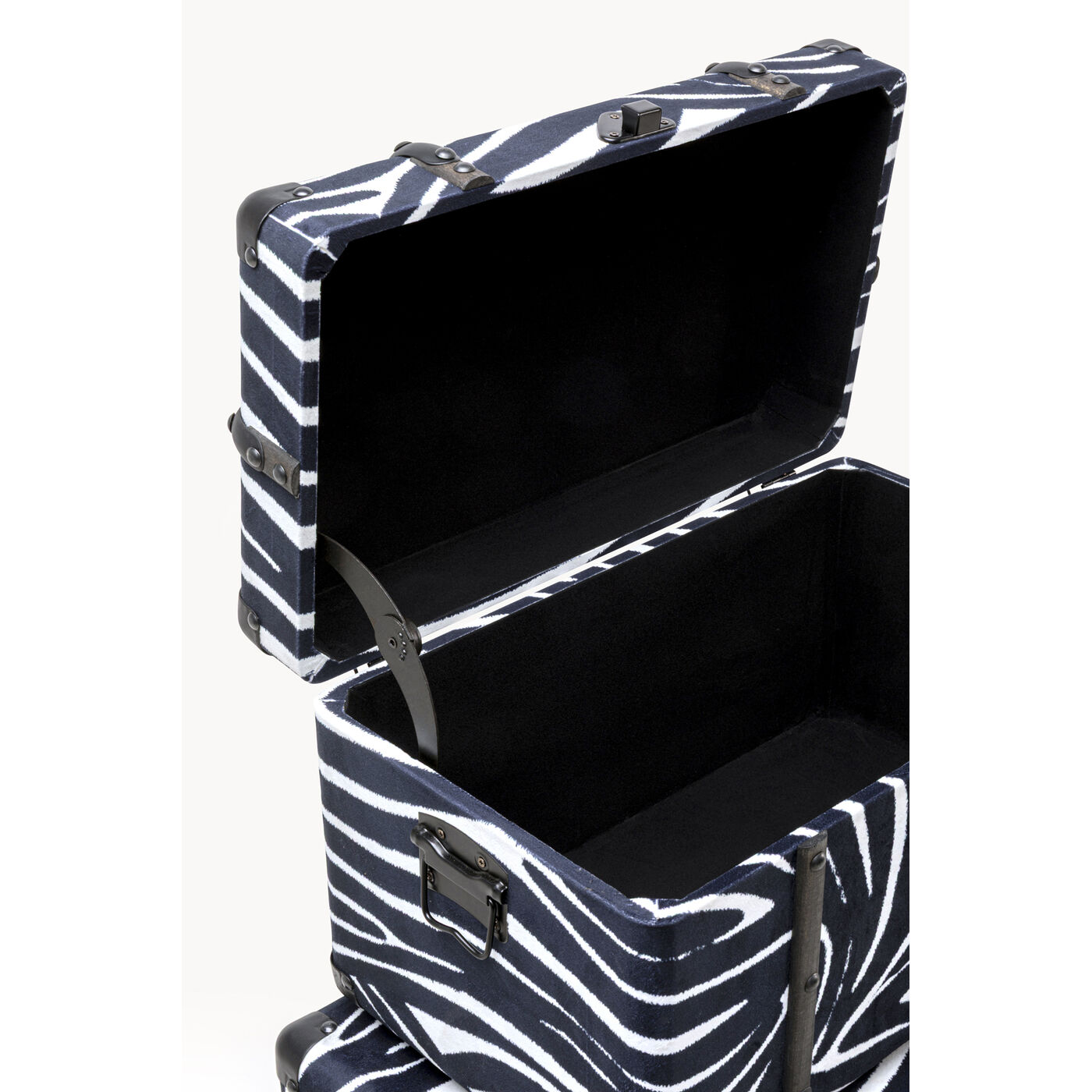 Шкатулка Wild Animal Zebra (3/Set)