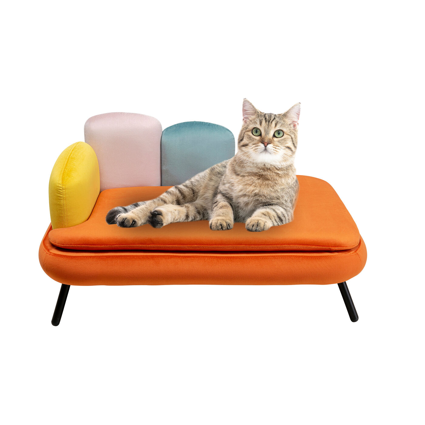 Кушетка для домашних животных Diva Orange