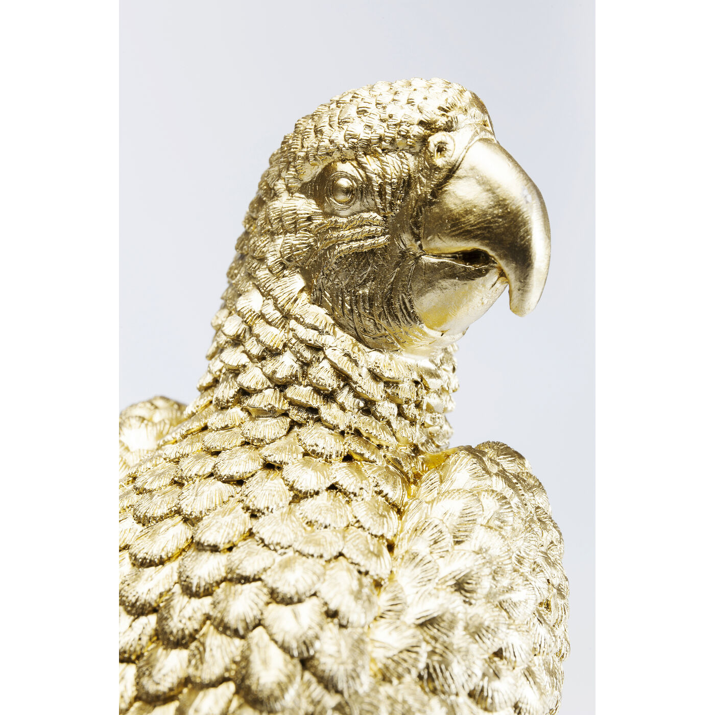 Шкатулка Parrot