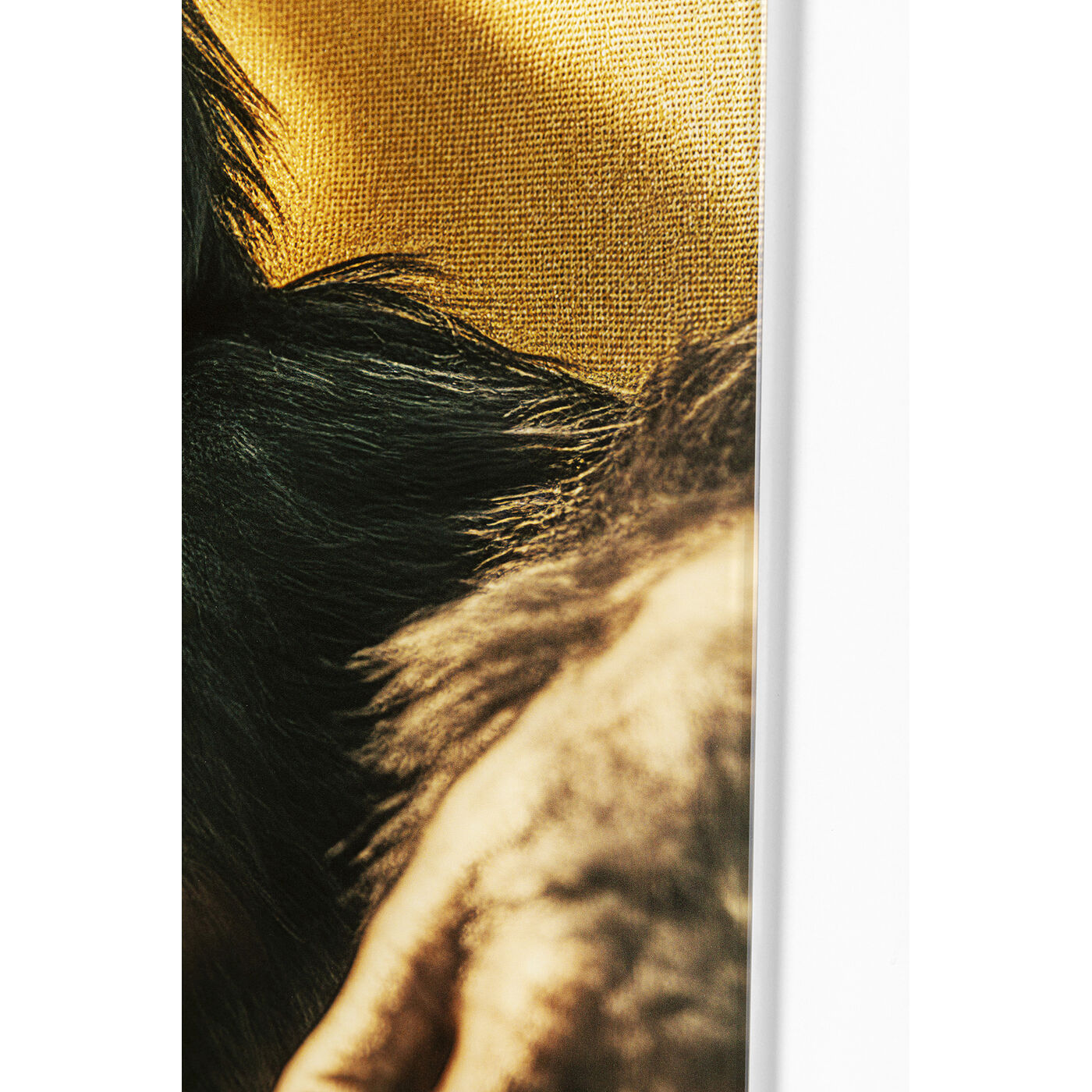 Картина стеклянная Holiday Monkey 80x60 см