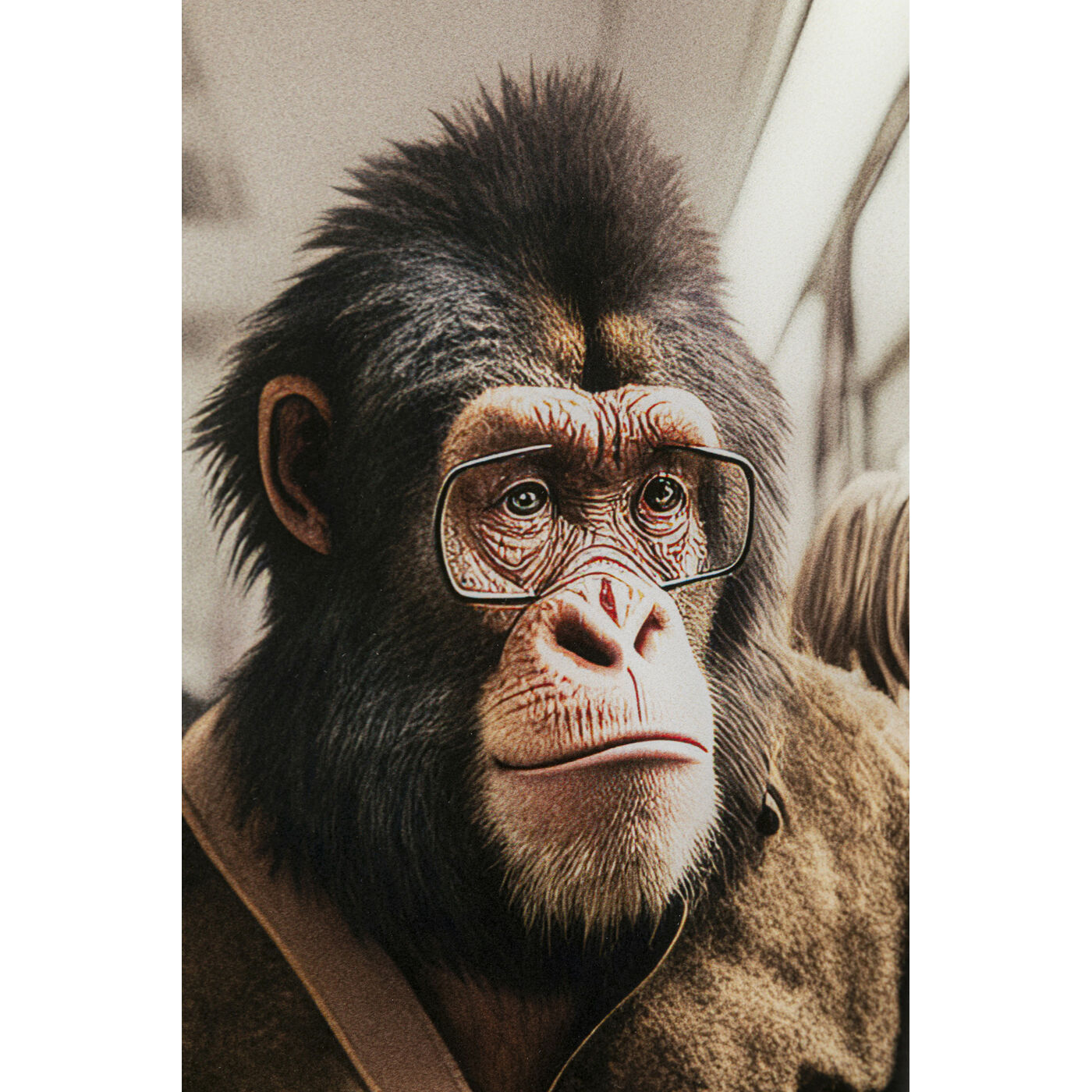 Картина стеклянная Commuter Monkey 60x60 см