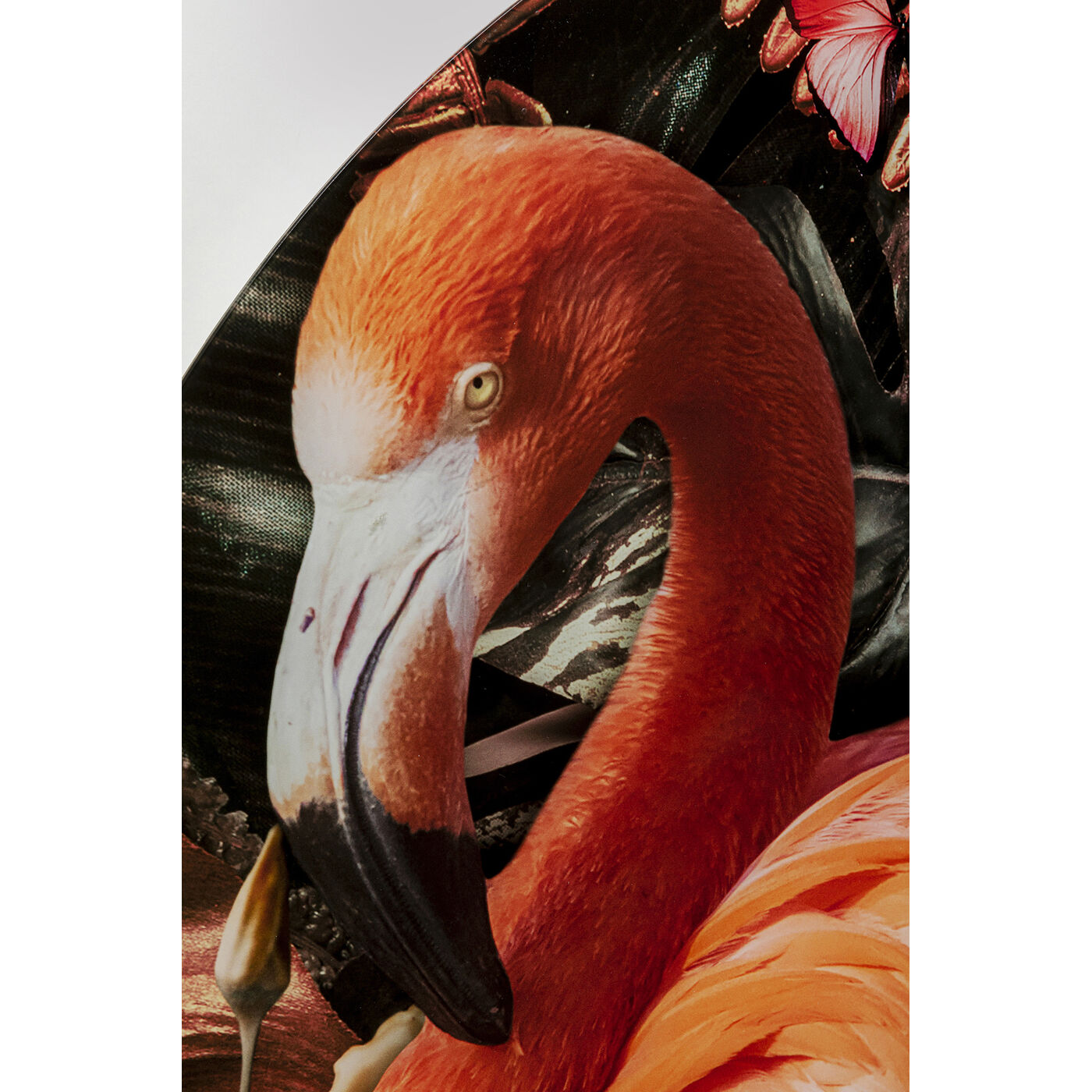 Картина стеклянная Proud Flamingo Ø100 см