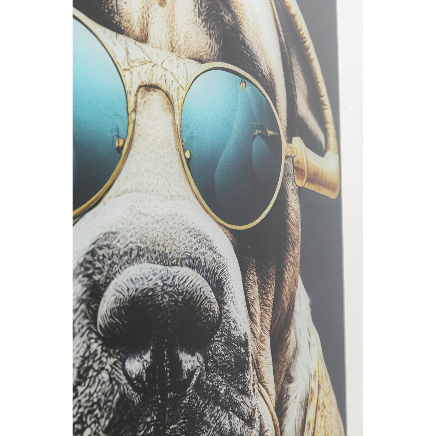 Картина стеклянная Fashion Dog 60x80 см
