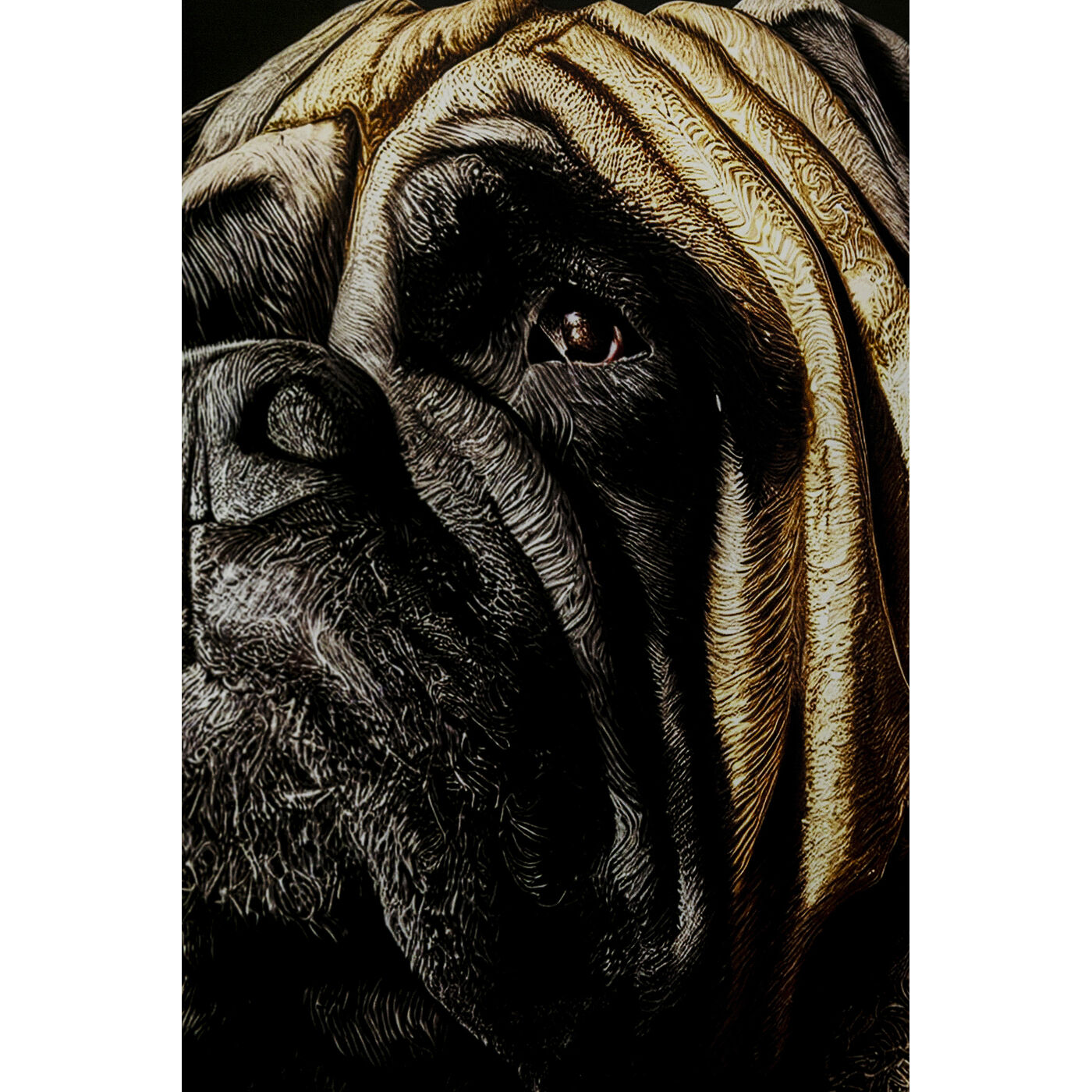 Картина стеклянная King Pug 40x60 см