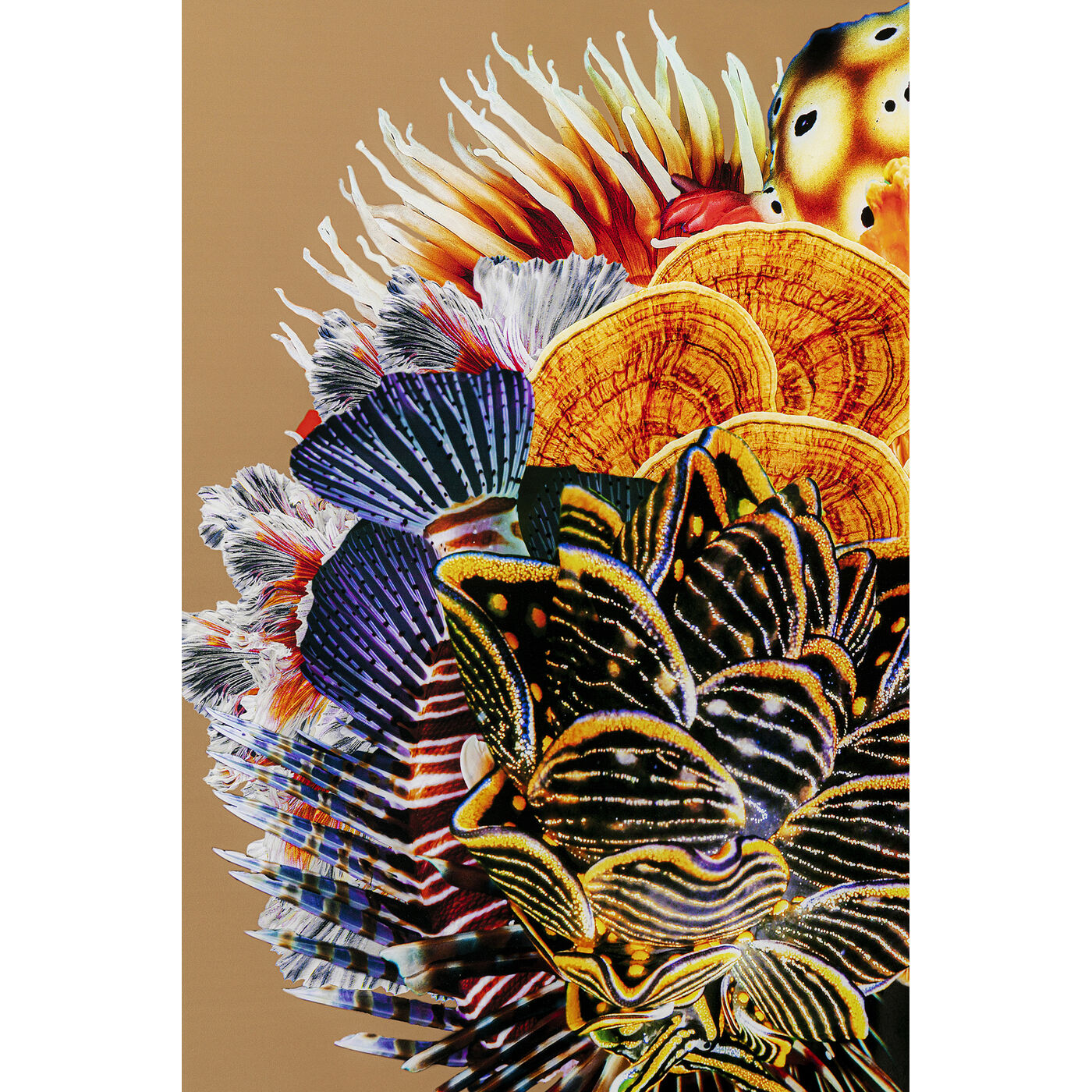 Картина в раме Flower Hair 120x120 см
