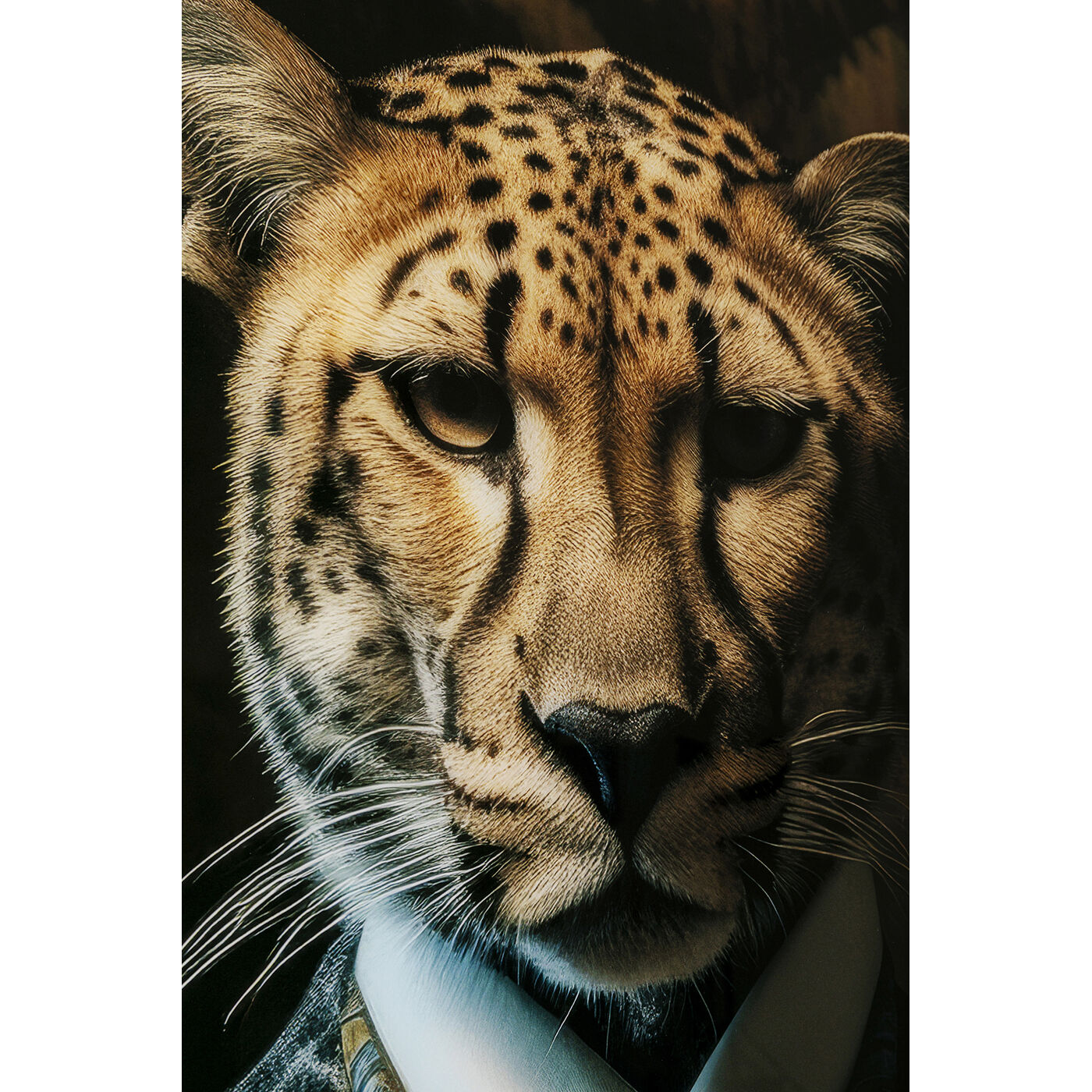 Картина стеклянная Mister Leo 100x150 см
