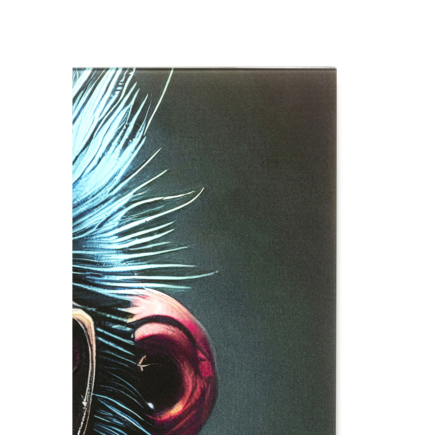 Картина стеклянная Fashion Gorilla 60x80 см