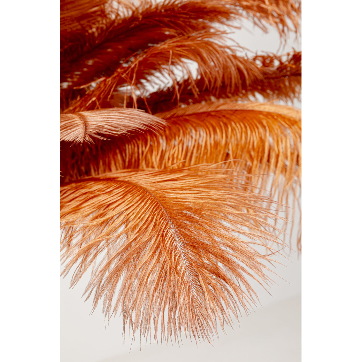 Светильник напольный Feather Palm Brown 165 см