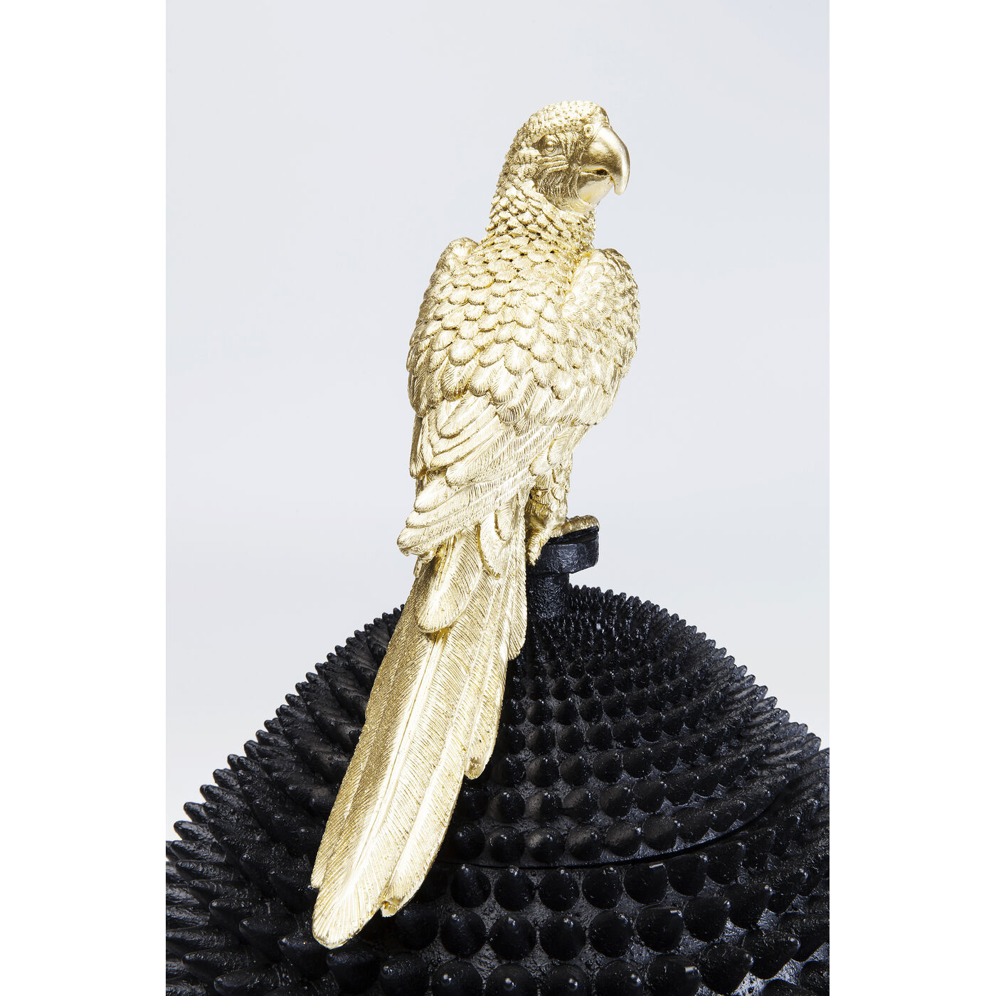 Шкатулка Parrot